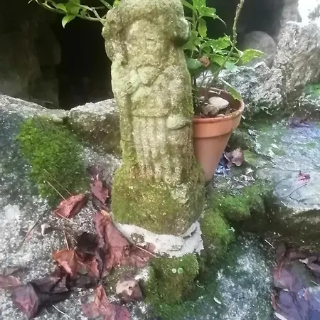Molinocaldas Caldas De Reis
