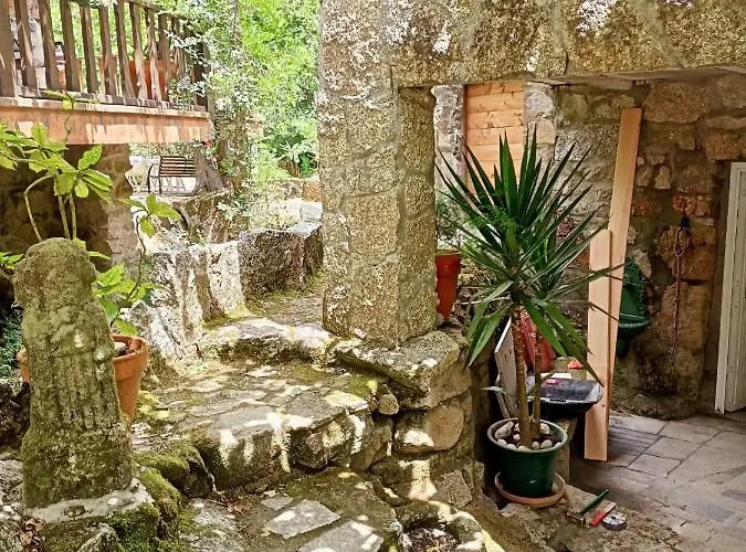 Molino Cascada De Caldas De Reyes Tatil Evi Caldas De Reis