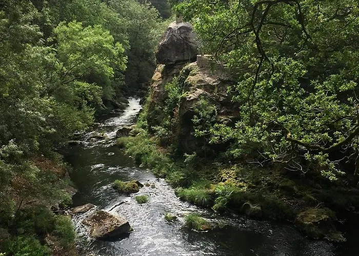 Molino Cascada De Caldas De Reyes * Caldas De Reis