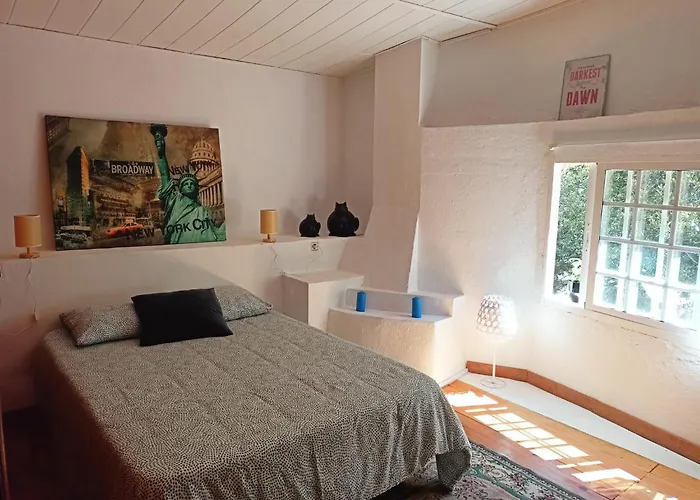 Molino Cascada De Caldas De Reyes Tatil Evi Caldas De Reis